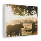 Farm Animal/ Cow Peaceful time design Canvas Gallery Wraps poster