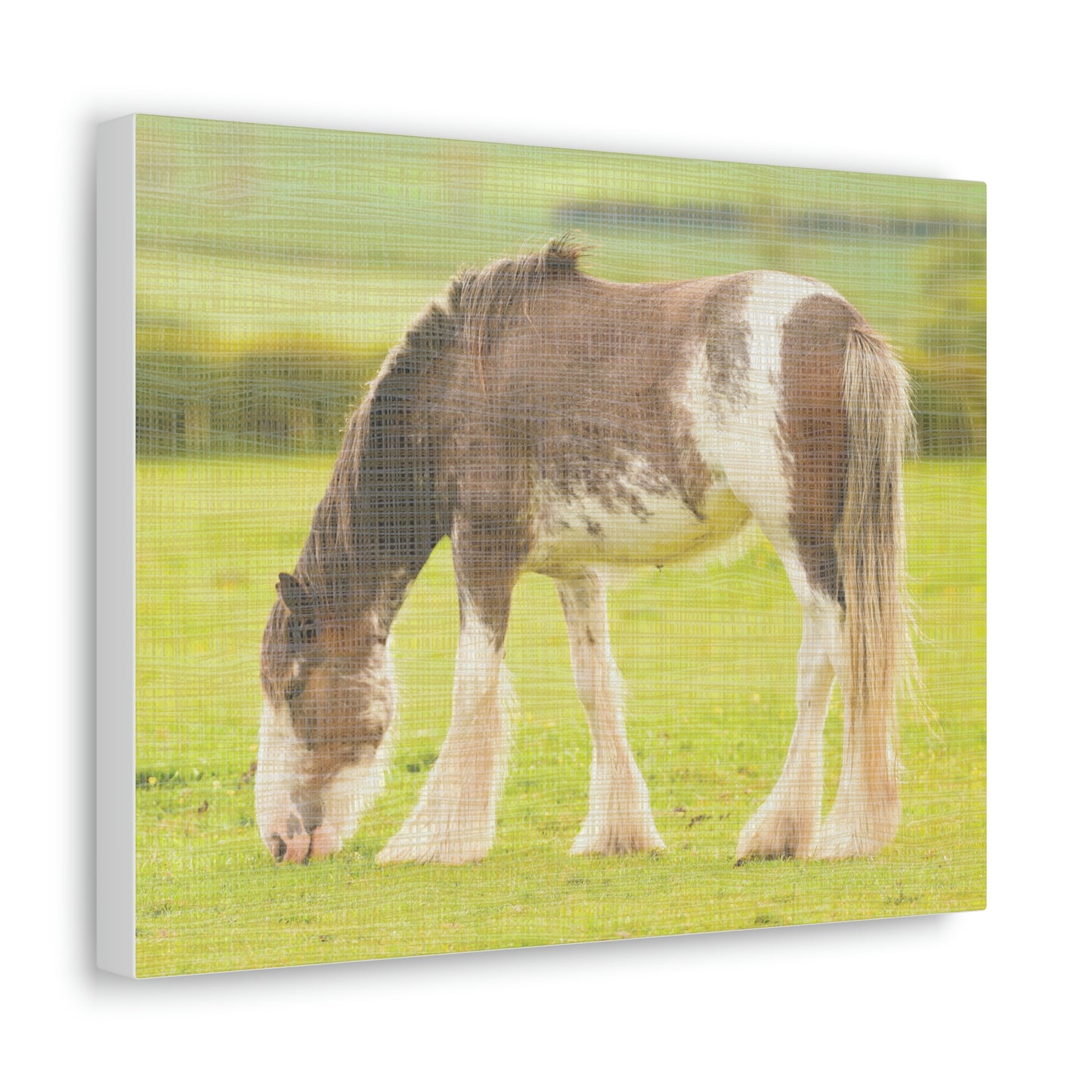 Farm Animal Horse design Canvas Gallery Wraps poster