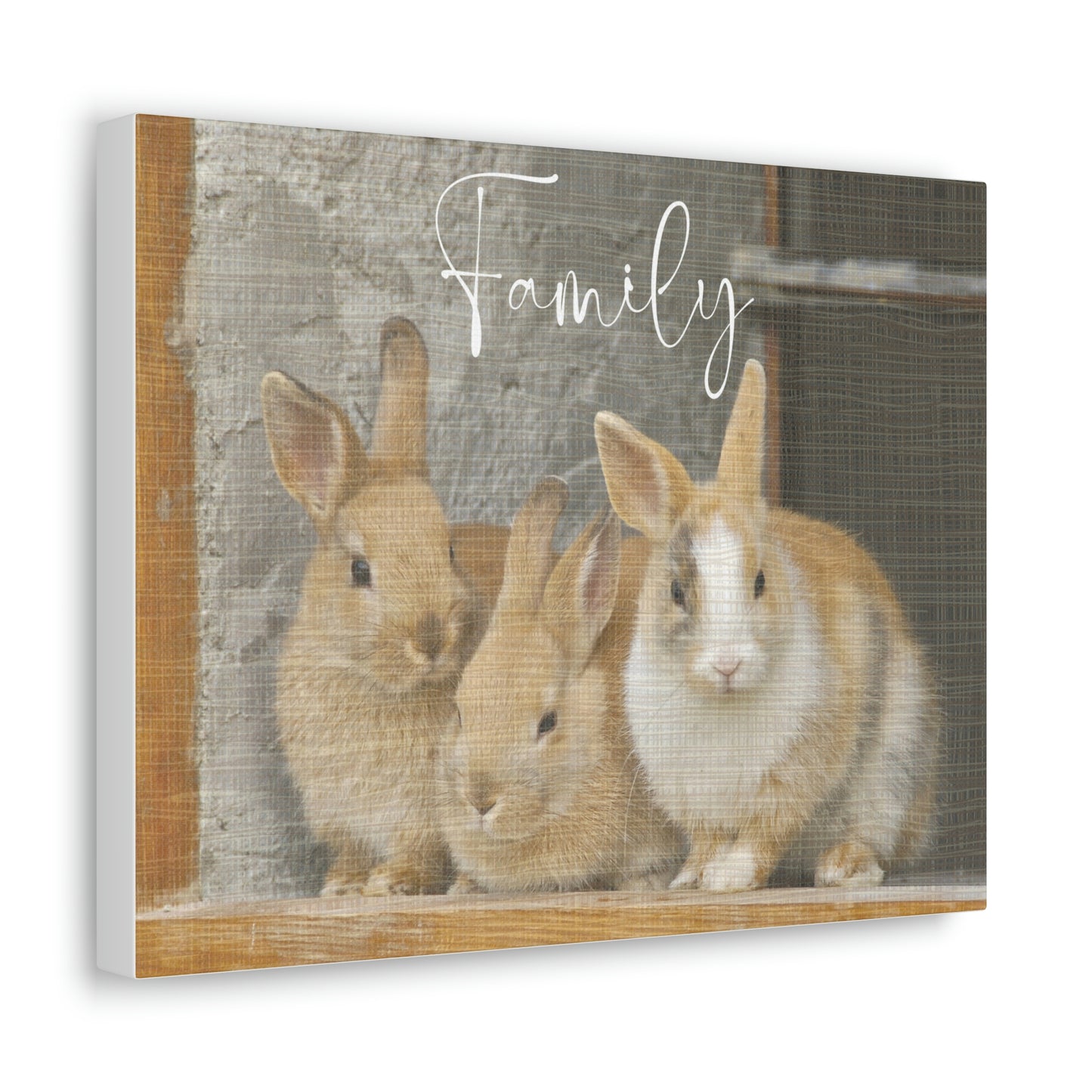 " Family" Three Bunny/Rabbit design Canvas Gallery Wraps poster