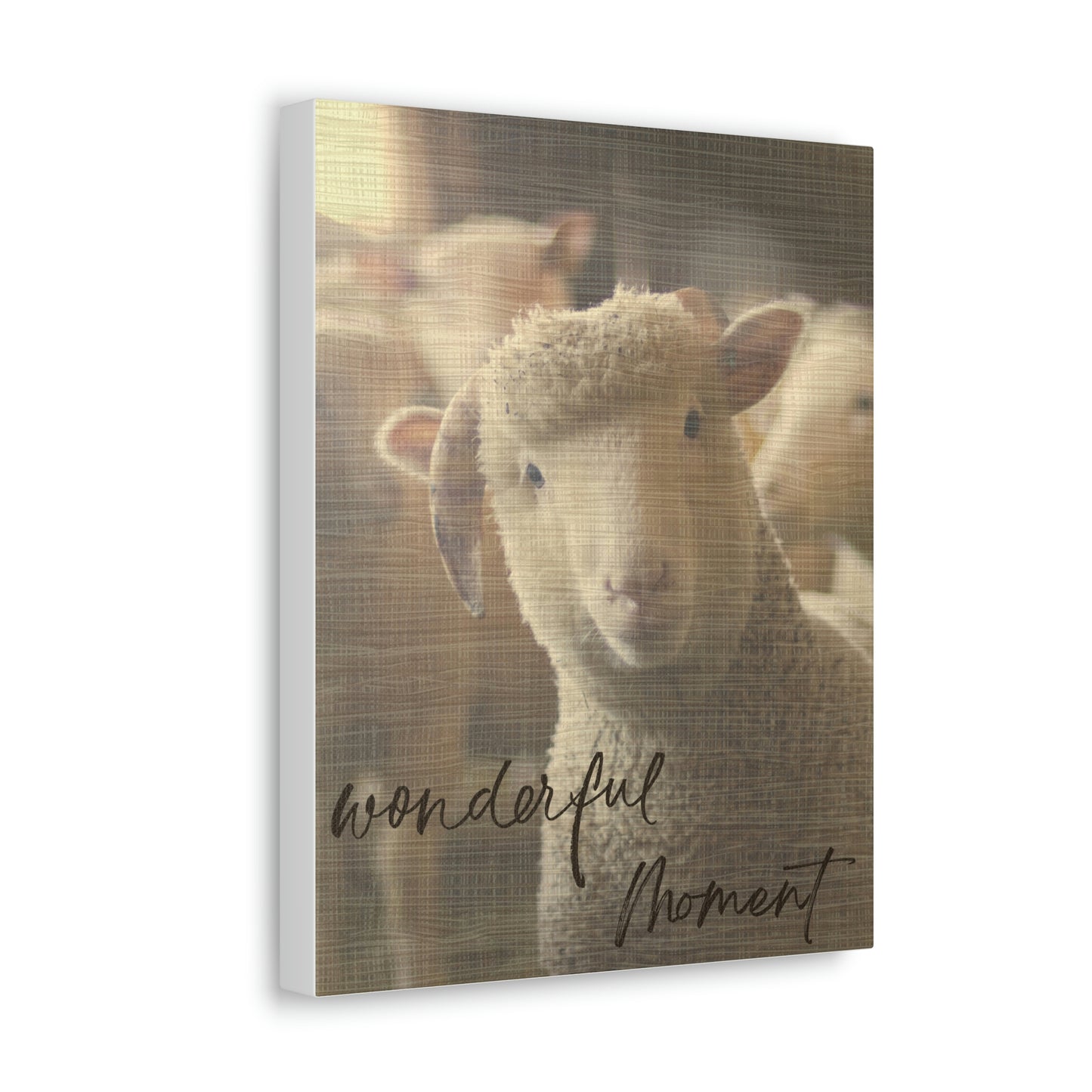 " Wonderful Moment " Charming Sheep design Canvas Gallery Wraps poster