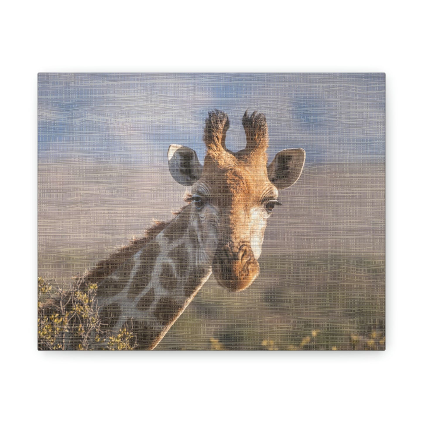 Safari Adorable Giraffe design Canvas Gallery Wraps poster