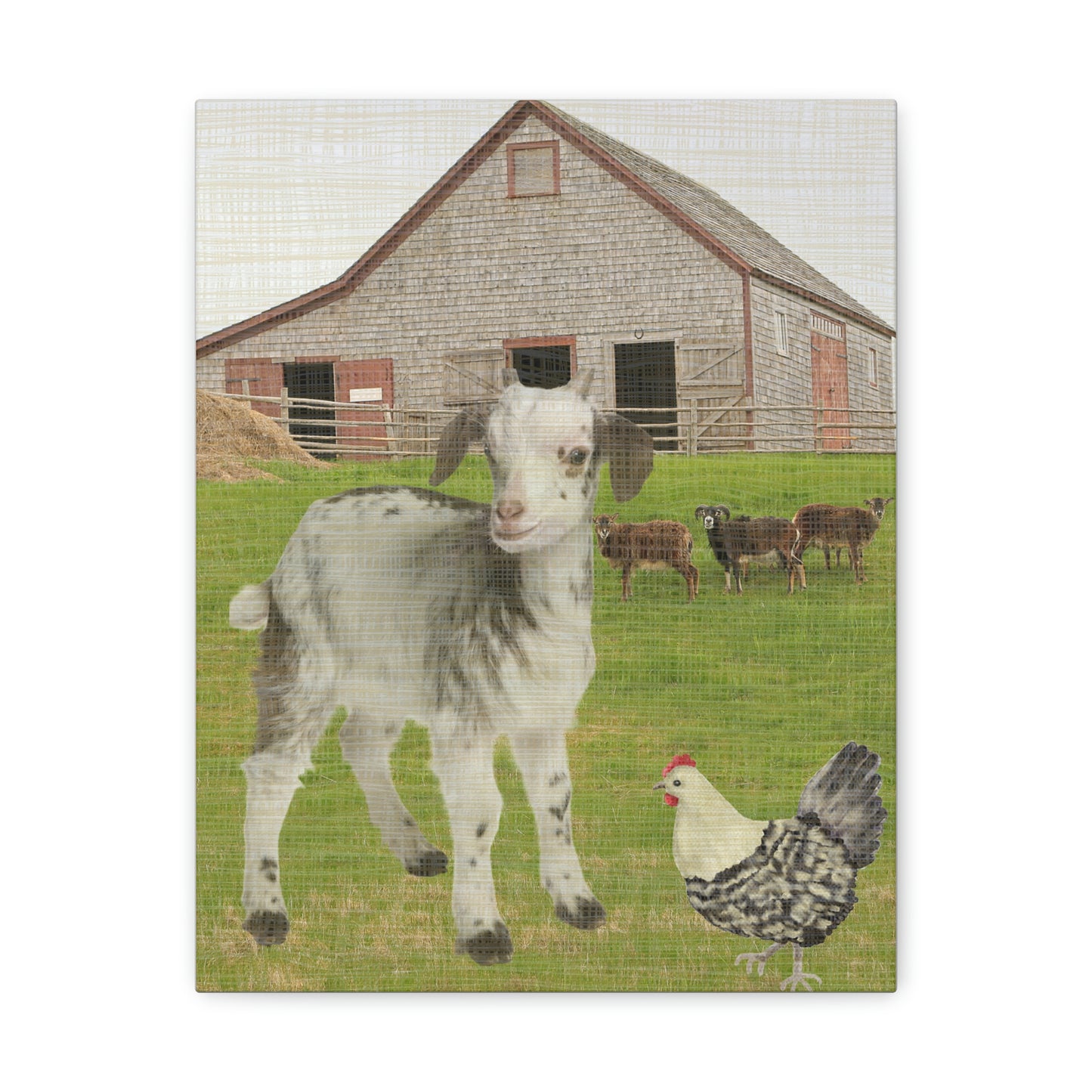 Farm Animals Goat, Chicken design Canvas Gallery Wraps poster