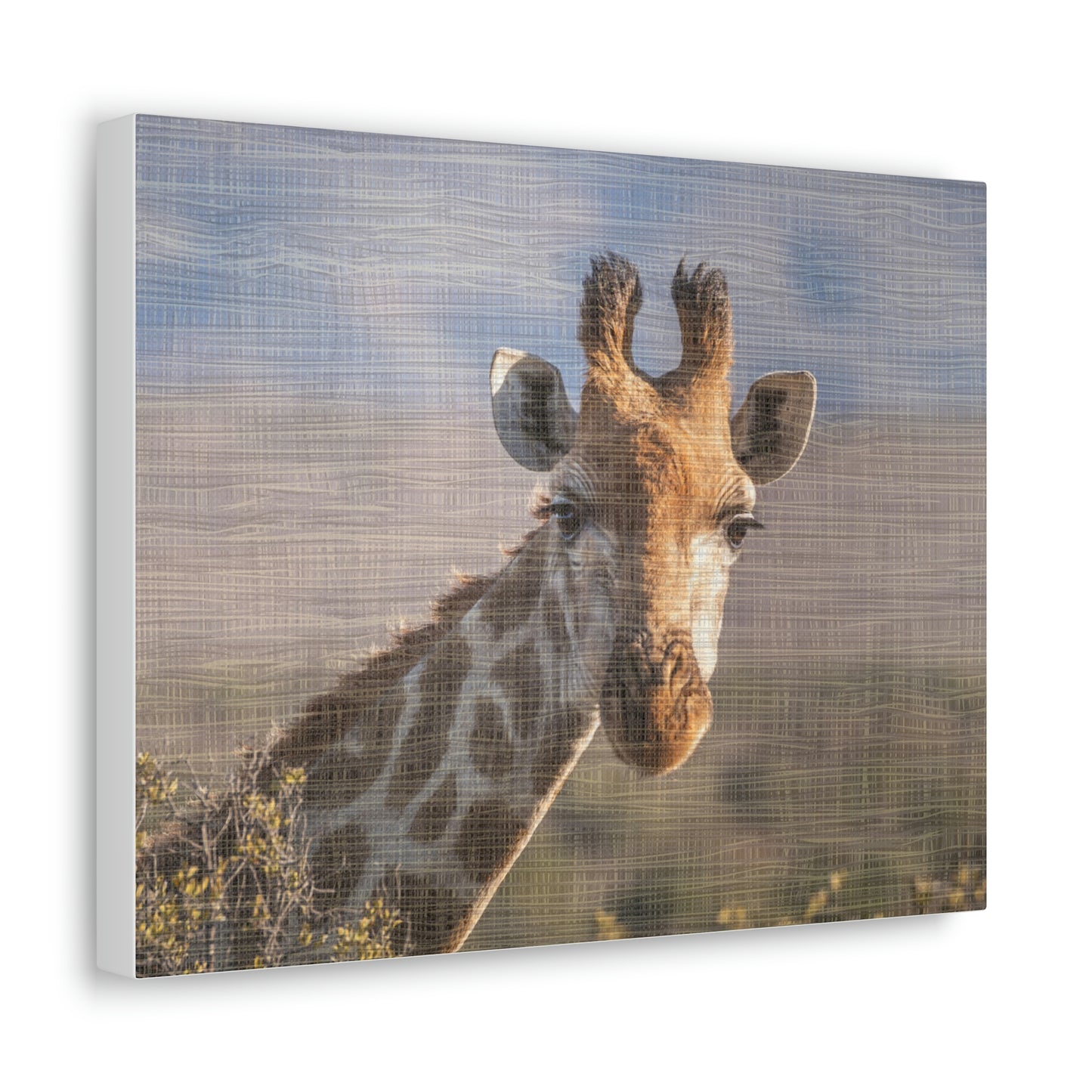 Safari Adorable Giraffe design Canvas Gallery Wraps poster
