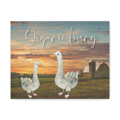 " Organic Living" Adorable Ducks design Canvas Gallery Wraps poster